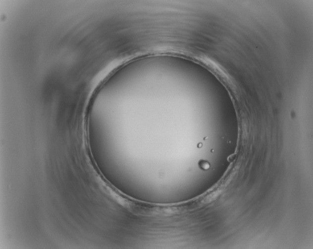 X0000076381286200610161105