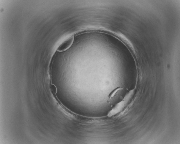 X0000076381287200610161105