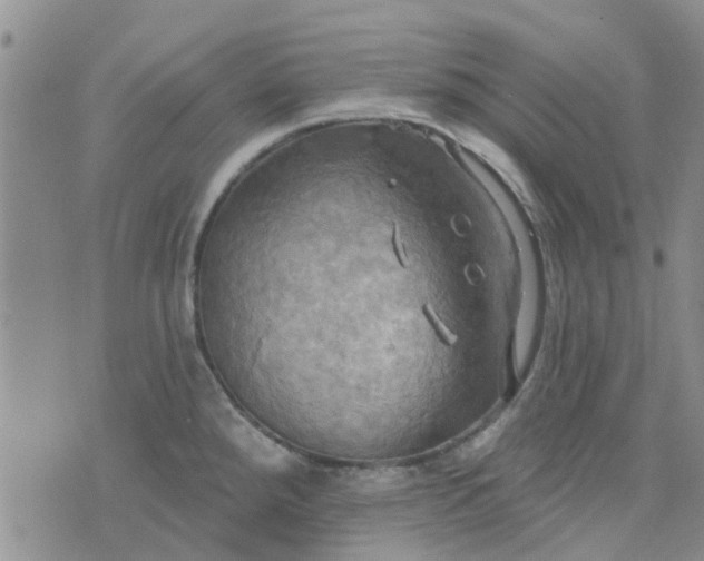 X0000076381288200610161105