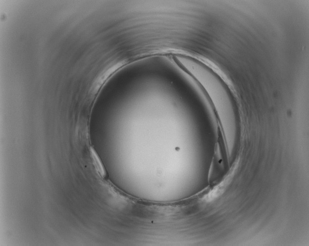 X0000076381289200610161105