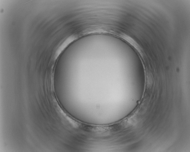 X0000076381290200610161105