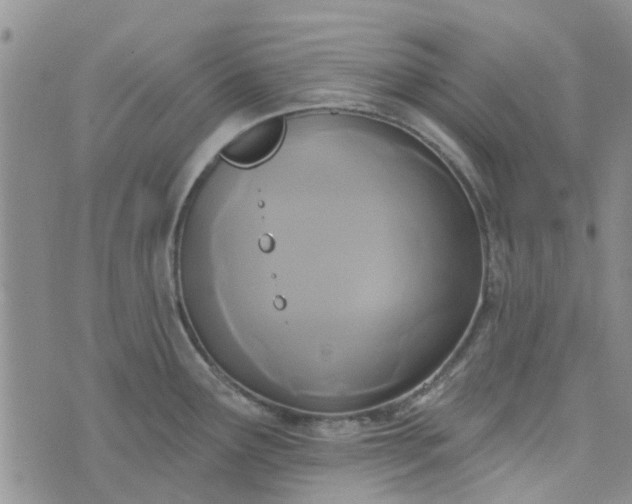 X0000076381291200610161105