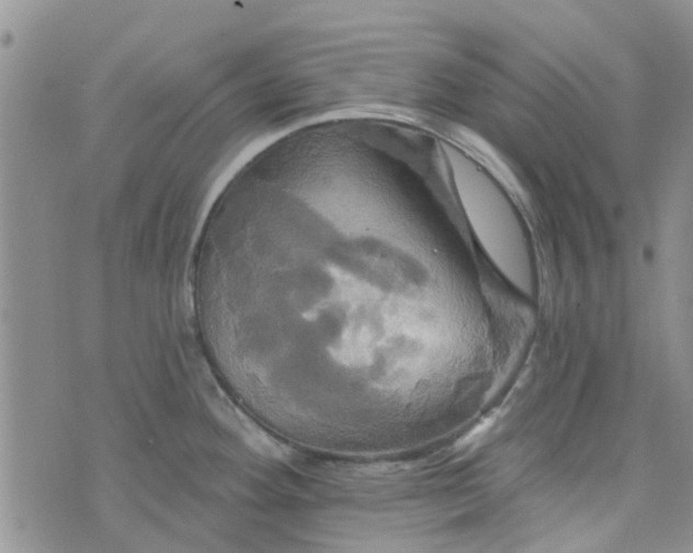 X0000076381292200610161105