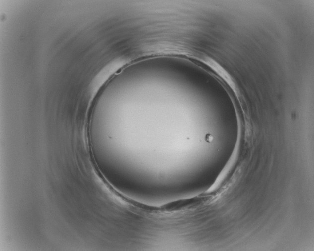 X0000076381293200610161105