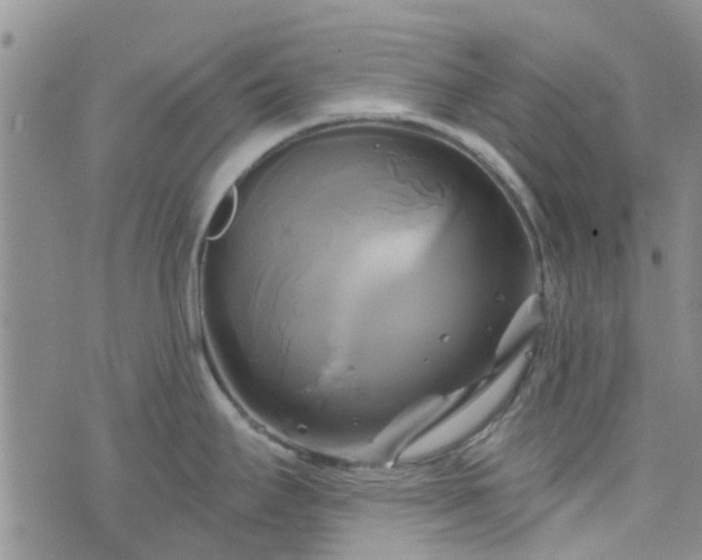 X0000076381295200610161105