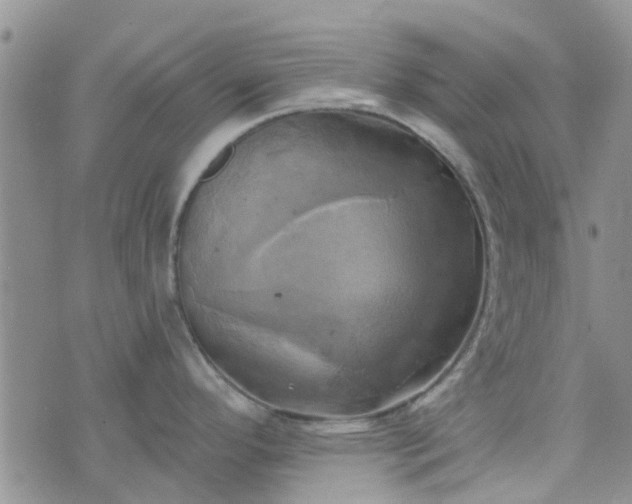 X0000076381296200610161105