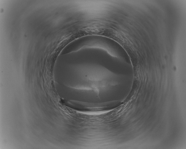 X0000076381297200610161105