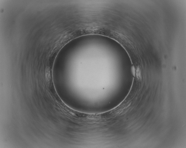 X0000076381299200610161105