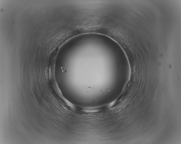 X0000076381300200610161105