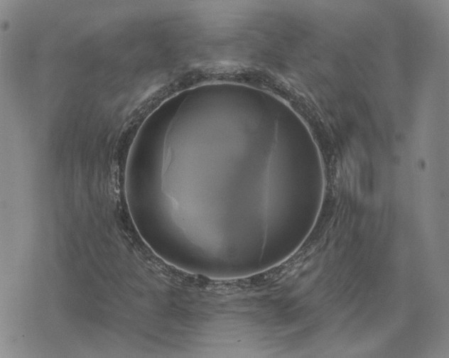 X0000076381301200610161105