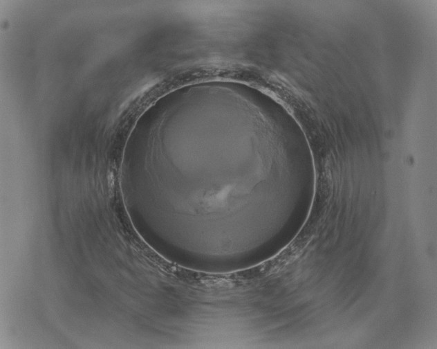 X0000076381302200610161105