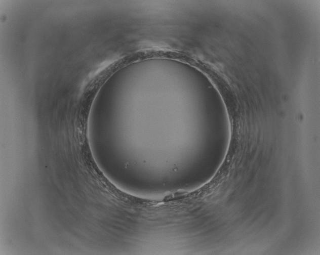 X0000076381303200610161105