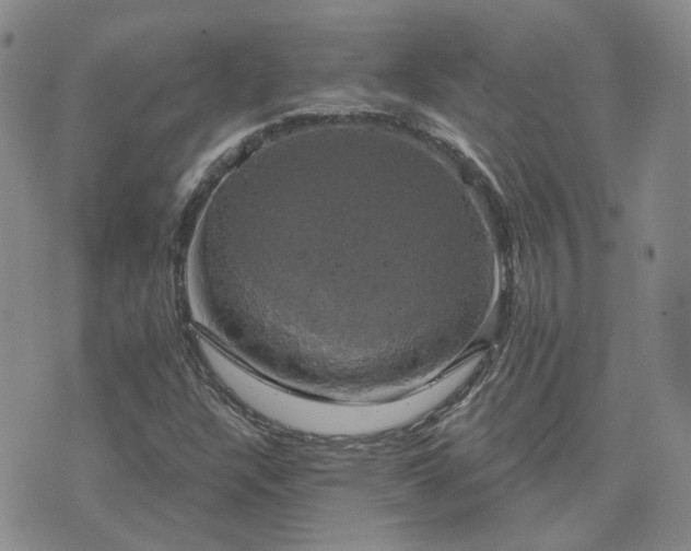 X0000076381304200610161105