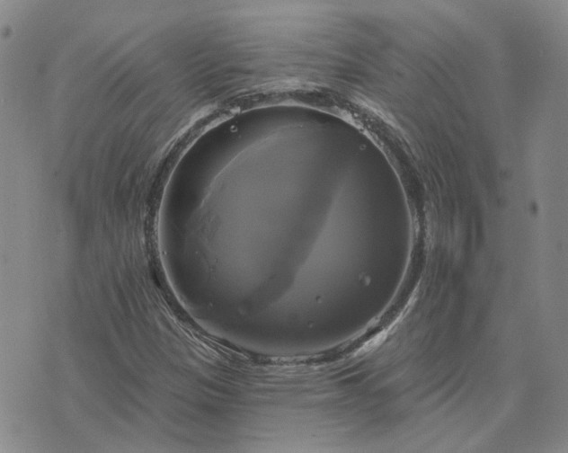 X0000076381305200610161105