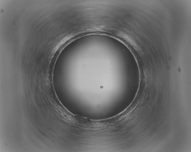 X0000076381308200610161105