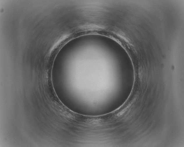 X0000076381309200610161105