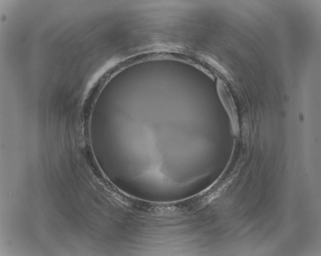 X0000076381310200610161105