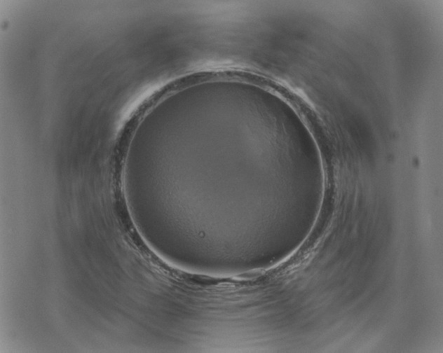 X0000076381311200610161105