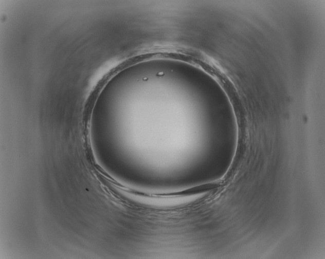 X0000076381312200610161105