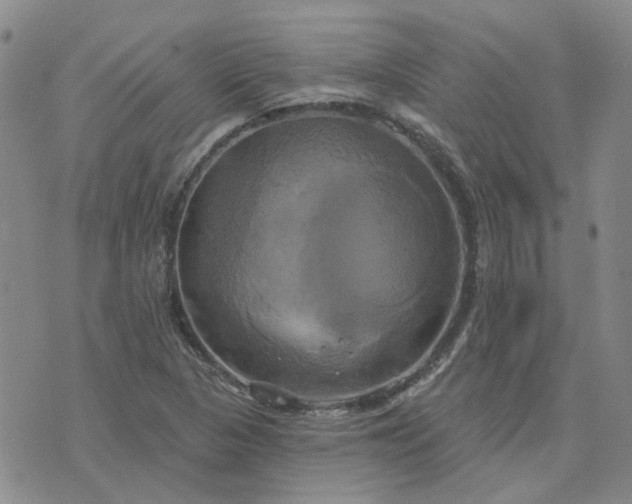 X0000076381313200610161105