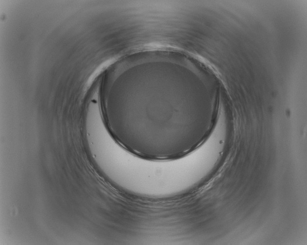 X0000076381314200610161105