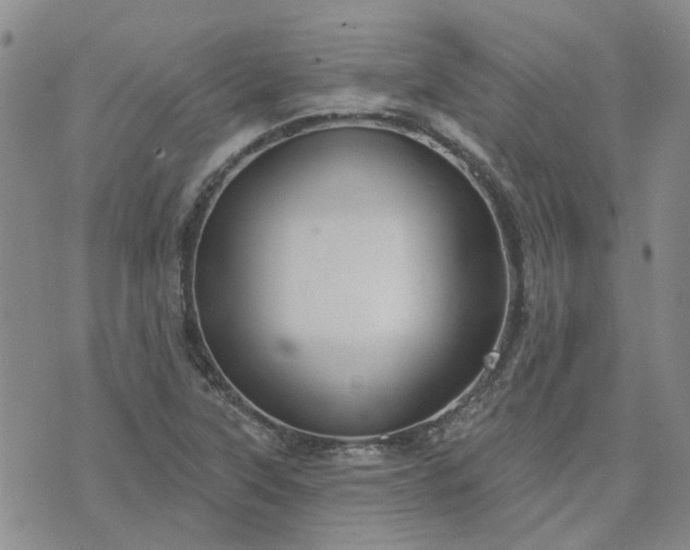 X0000076381315200610161105