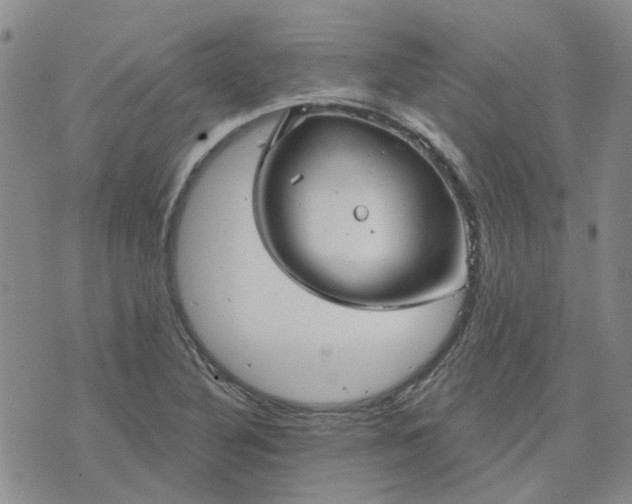 X0000076381316200610161105