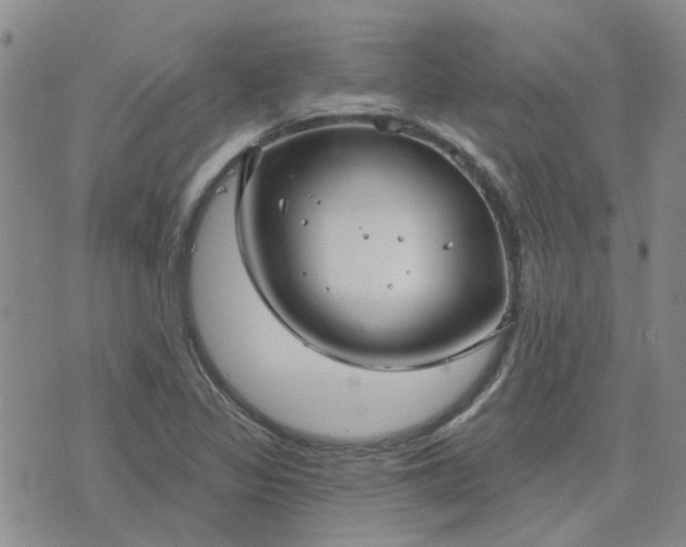 X0000076381317200610161105