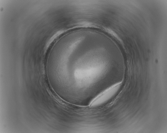 X0000076381318200610161105