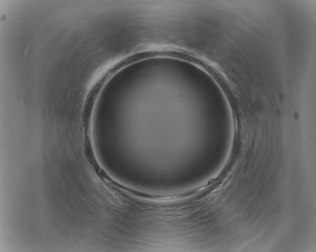 X0000076381319200610161105