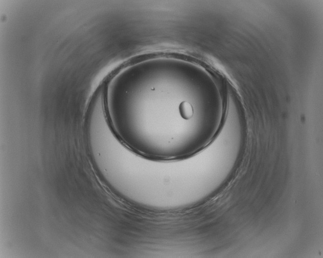 X0000076381320200610161105