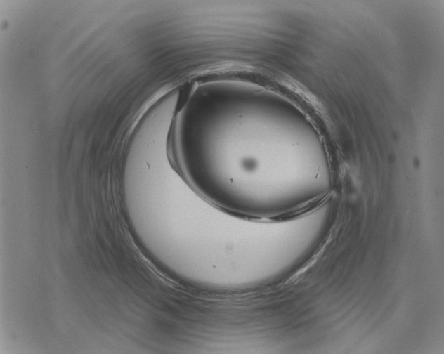 X0000076381321200610161105