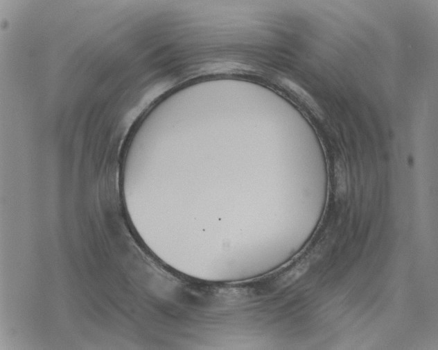 X0000076381322200610161105