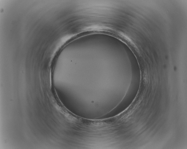 X0000076381323200610161105