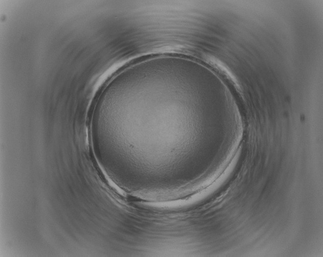 X0000076381324200610161105