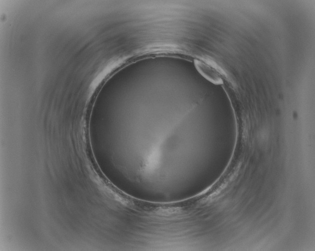 X0000076381325200610161105