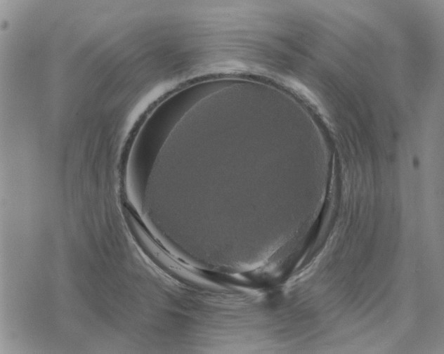 X0000076381326200610161105