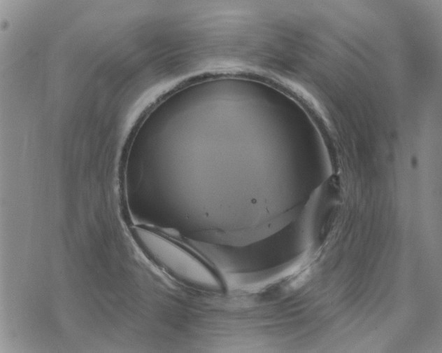 X0000076381327200610161105