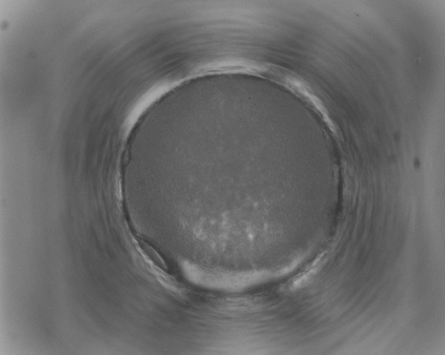 X0000076381328200610161105