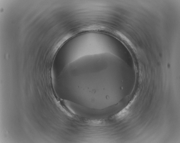 X0000076381329200610161105