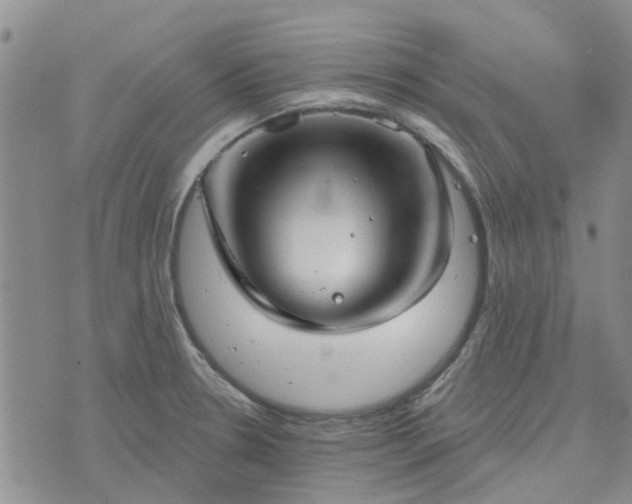 X0000076381330200610161105