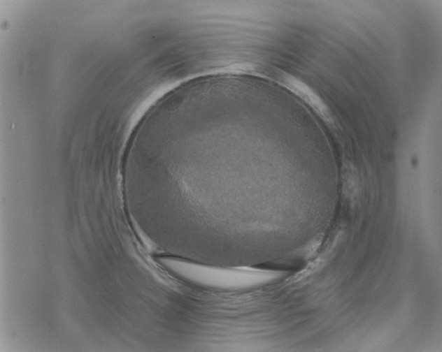 X0000076381332200610161105