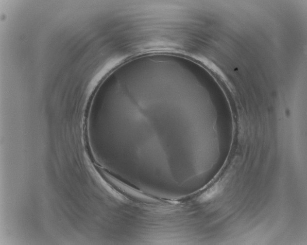 X0000076381333200610161105