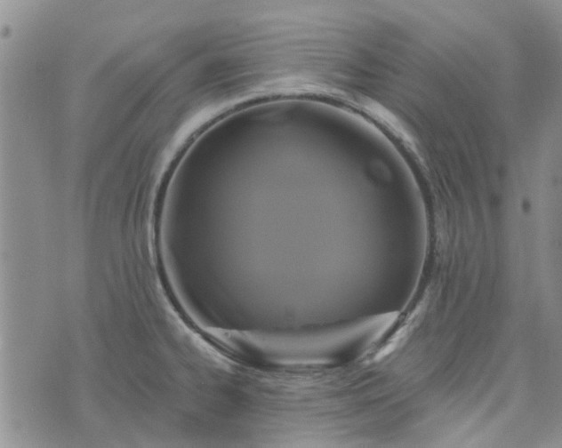 X0000076381334200610161105