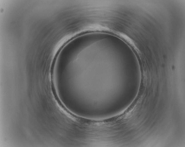 X0000076381335200610161105