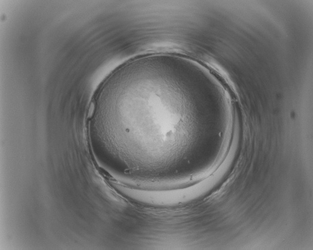 X0000076381336200610161105