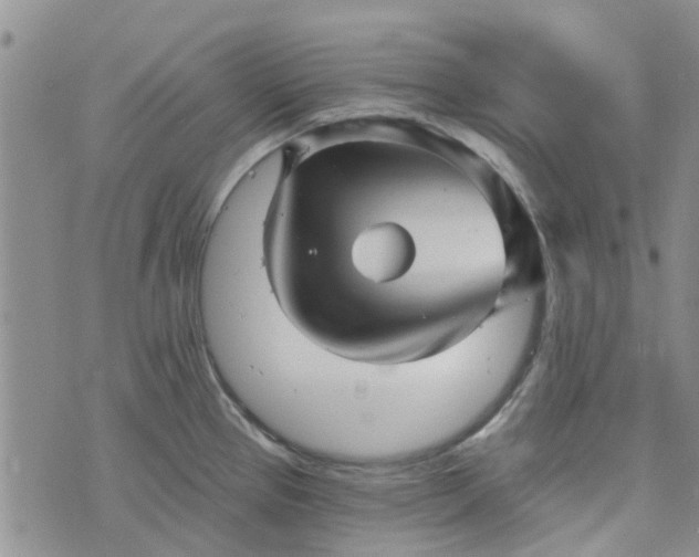 X0000076381337200610161105