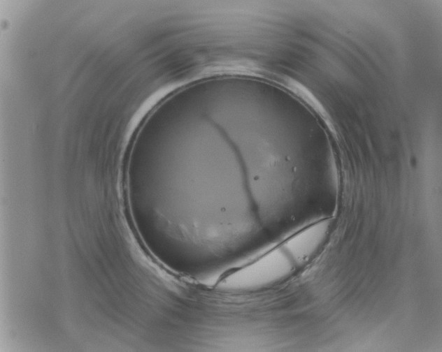 X0000076381339200610161105