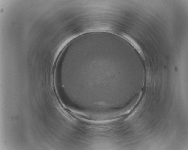 X0000076381340200610161105