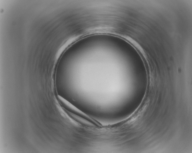 X0000076381341200610161105